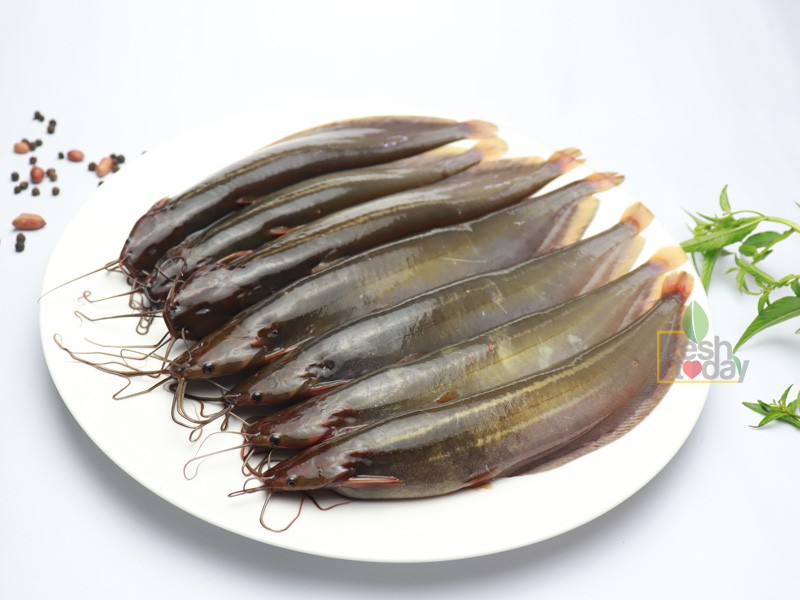 SING BD 500G X 12 = 6KG